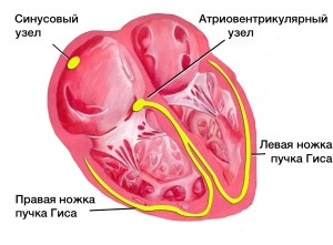 simptomy-i-lechenie-postinfarktnogo-kardioskleroza (2)